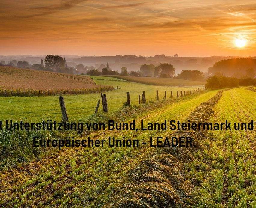 Ein grünes Feld mit einem Zaun, das einen Sonnenuntergang und Text auf Deutsch zeigt. Bäume und Büsche säumen den Hintergrund.