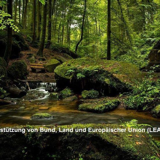 494732099_2496299010704210_5624636949619067543_n