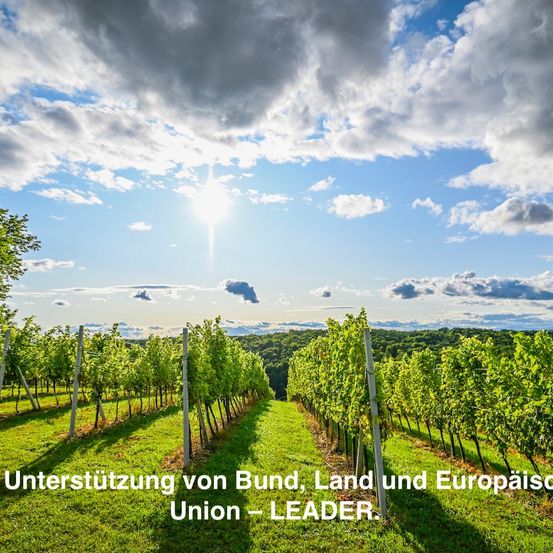 Ein Weinberg unter einem teilweise bewölkten Himmel. Die Worte 'Unterstützung von Bund, Land und Europäischer Union - LEADER' sind unten angezeigt.