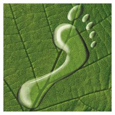 LAG Thermenland-Wechselland-Logo