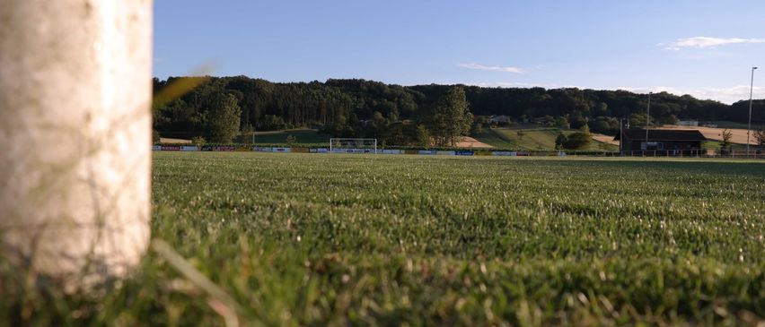 Bild enthält, Grass, Field, Lawn, Grassland, Nature, Outdoors, Pasture, Tree, Land, Sky