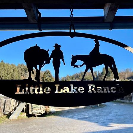 Bild enthält, Person, Animal, Horse, Mammal