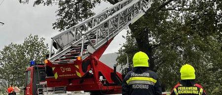 Transportation, Vehicle, Adult, Male, Man, Person, Truck, Fire Truck