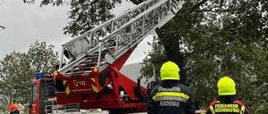 Bild enthält, Transportation, Vehicle, Adult, Male, Man, Person, Truck, Fire Truck