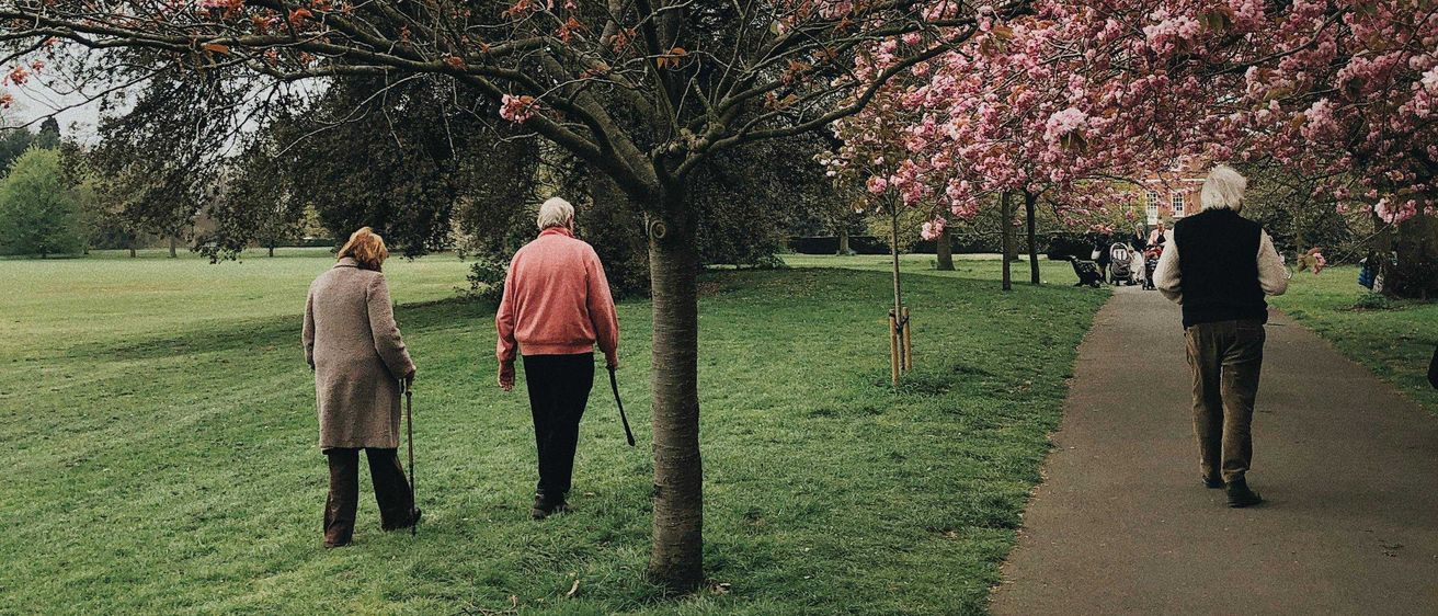 Bild enthält, Grass, Park, Person, Walking, Path, Tree, Flower, Vegetation, Sidewalk, Lawn