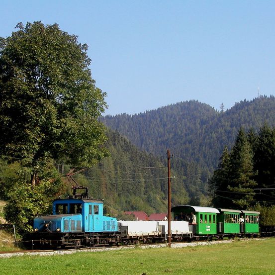 Ein blauer und grüner Zug fährt auf einer Strecke durch eine üppige Berglandschaft. Bäume und Stromleitungen rahmen die Szene ein, und die Passagiere genießen die Fahrt.