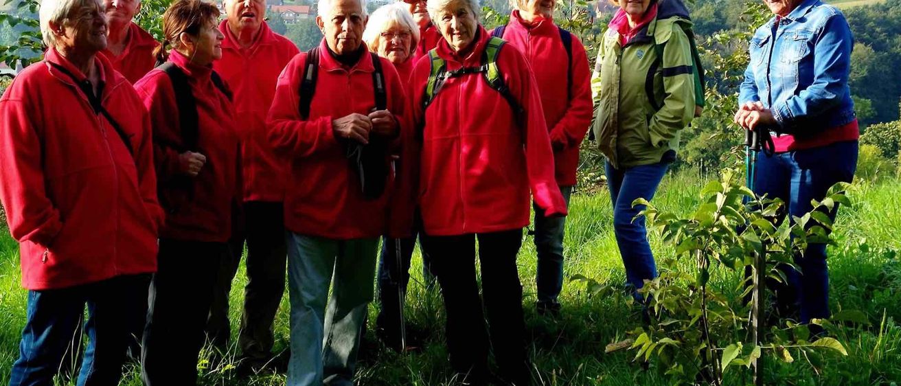 v1_migrated_image_98624779