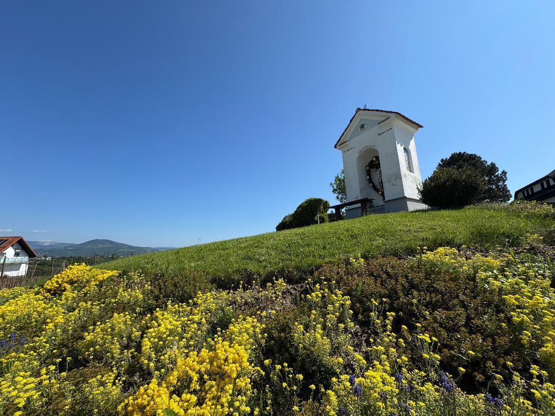 Eine kleine Kapelle auf einem Hügel mit gelben Blumen und einem klaren blauen Himmel im Hintergrund.
