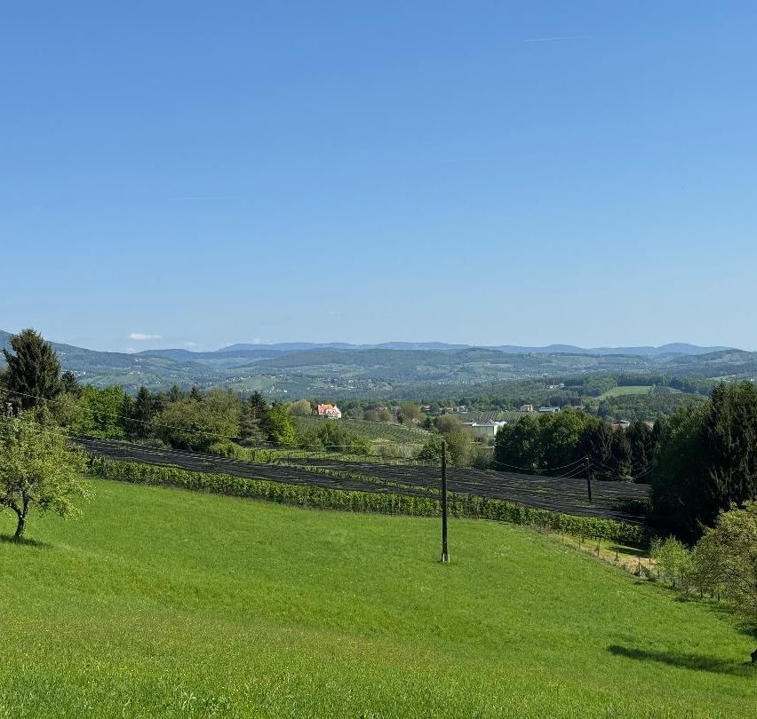 Luftaufnahme eines großen grünen Feldes mit einem Haus und Bergen im Hintergrund.
