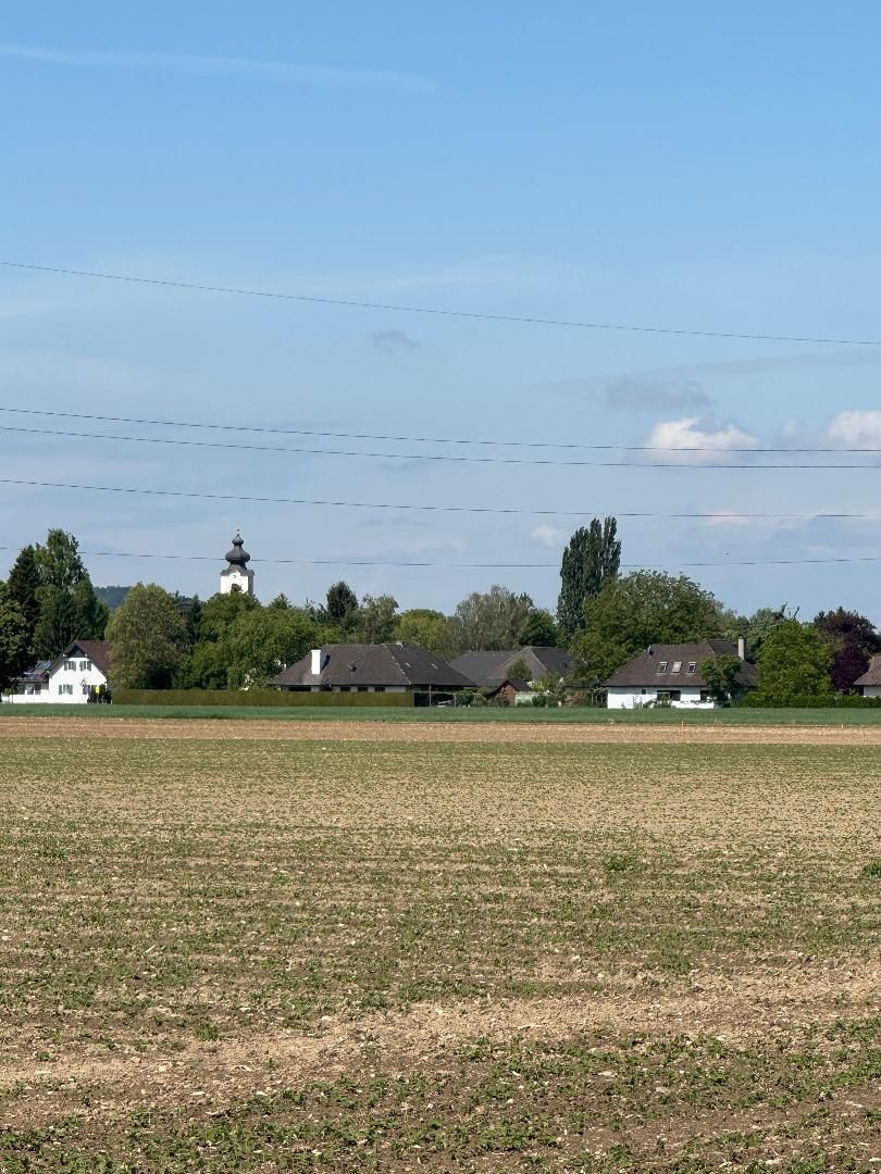 A landscape view featuring a vast field surrounded by a forest and several houses in the distance under a blue sky with scattered clouds and power lines.