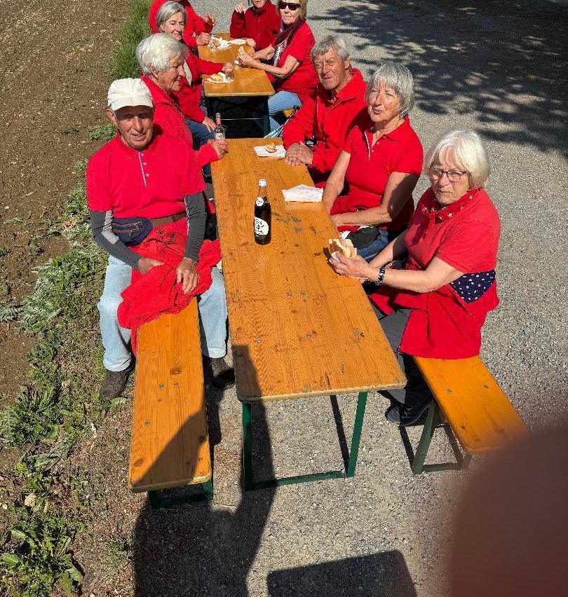 A group of elderly people in red shirts sit around a picnic table outside, enjoying food and drinks. The setting appears to be a park or a garden.