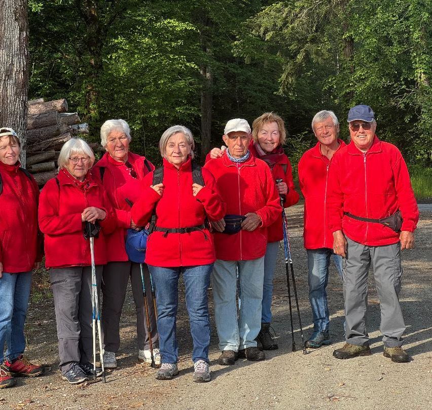 A group of elderly hikers in red jackets are posing for a photo in a forest area with a pile of logs behind them.
