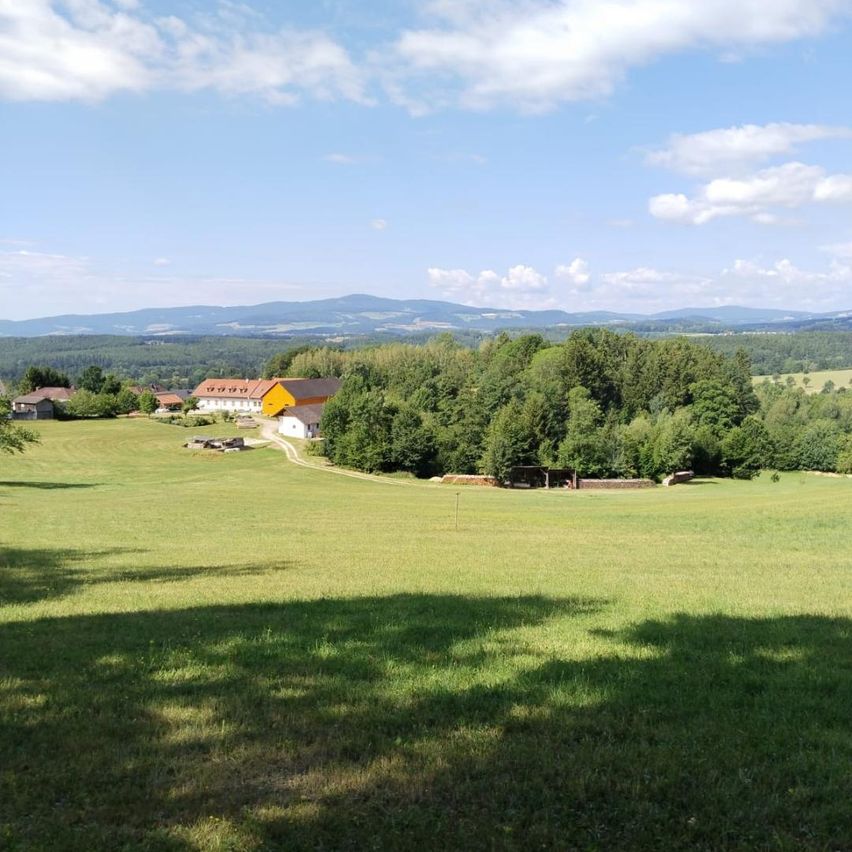 Eine ländliche Landschaft mit einem gelben Haus und einem weißen Haus im Vordergrund, umgeben von grünen Feldern und Bäumen, mit Bergen in der Ferne unter einem teilweise bewölkten Himmel.