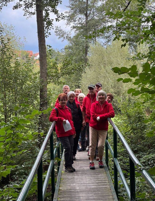 Eine Gruppe von Menschen in roten Jacken geht auf einer Holzbrücke im Wald. Sie schauen nach rechts, und einige halten Papiere. Die Brücke ist von Bäumen und Pflanzen umgeben.