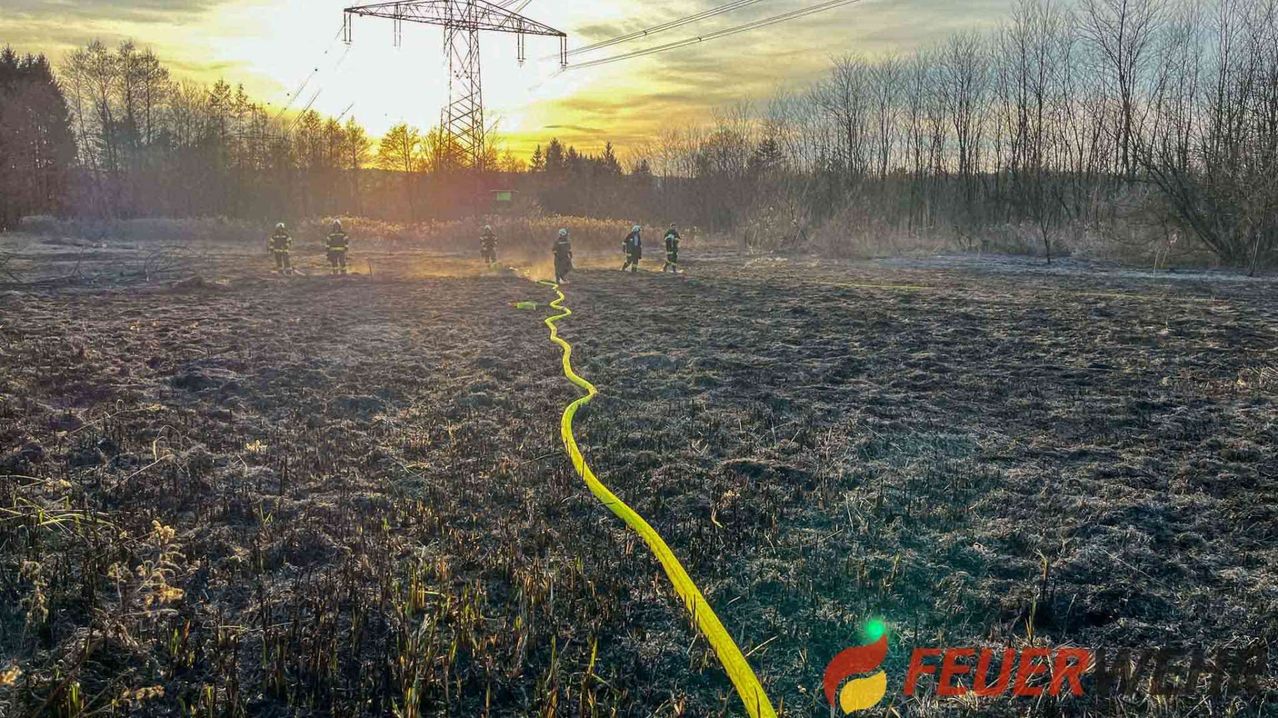 Bild enthält, Land, Nature, Outdoors, Person, Grass, Field, Utility Pole, Vegetation, Scenery, Cable