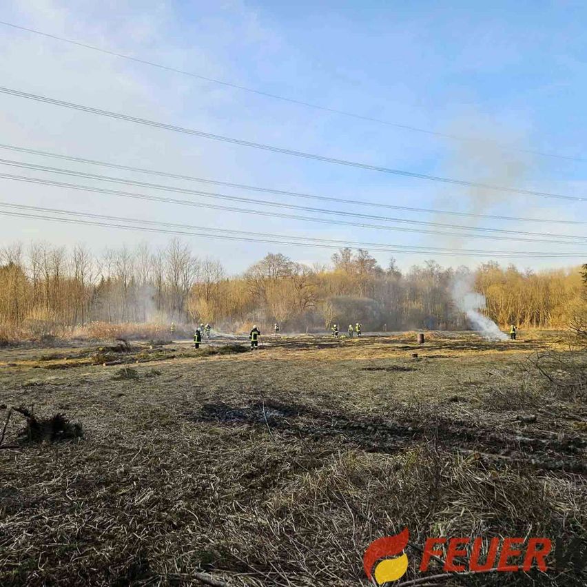 Bild enthält, Land, Nature, Outdoors, Person, Plant, Vegetation, Tree, Water, Smoke
