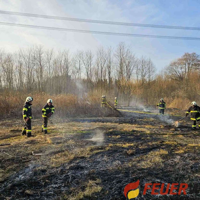 Bild enthält, Person, Extinguishing Fire, Fire, Helmet