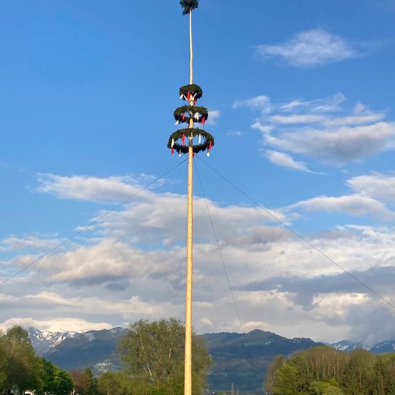 Bild enthält, Grass, Plant, Utility Pole, Lawn, Outdoors, Tree, Nature, Field, Sky, Car