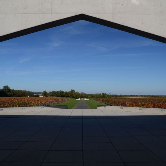 Ein weiter, offener Blick von einer Betonstruktur auf ein Weingut mit Herbstfarben. Der Himmel ist blau mit einigen Wolken.