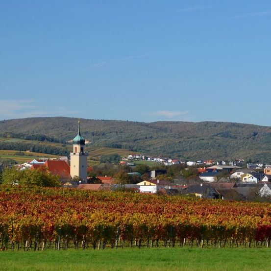 Ein ländliches Dorf mit einem hohen Turm, umgeben von farbenfrohen Weinbergen unter einem blauen Himmel mit leichten Wolken.