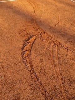 A close-up view of tire tracks on a brown sandy surface with sunlight illuminating the patterns.