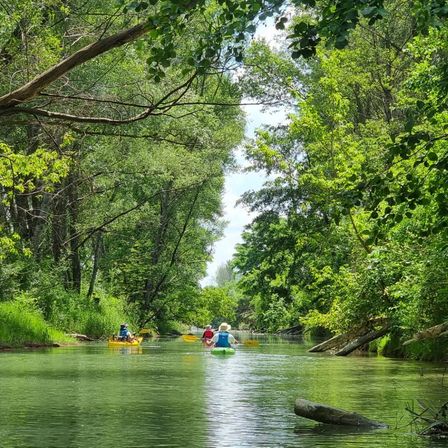 Bild enthält, Jungle, Nature, Outdoors, Vegetation, Water, Scenery, Canoeing, Land, Tree, Woodland