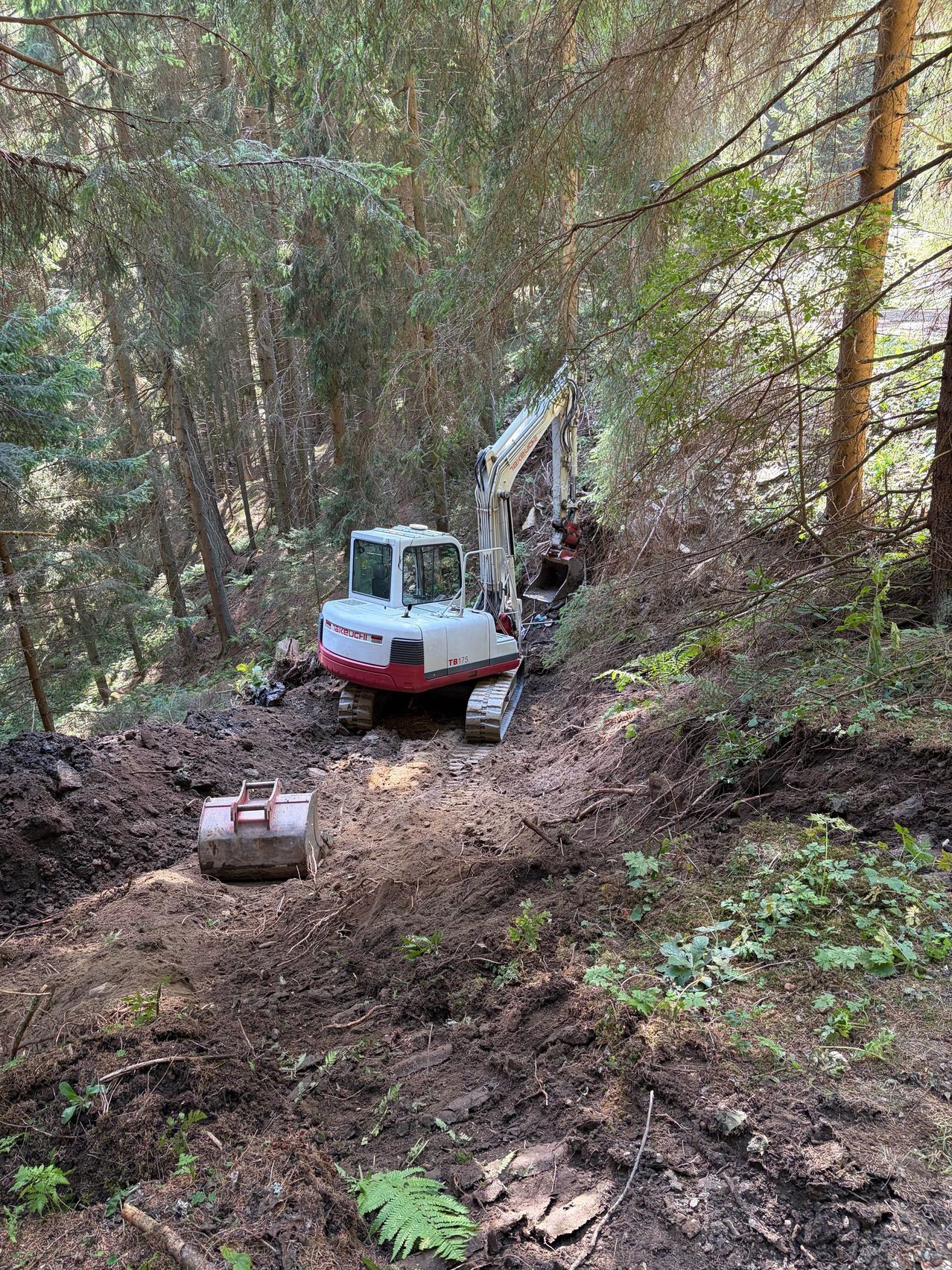 Ein roter und weißer Bagger gräbt einen Hang in einem dichten Wald. Das Gebiet ist mit Erde und Schutt gefüllt.
