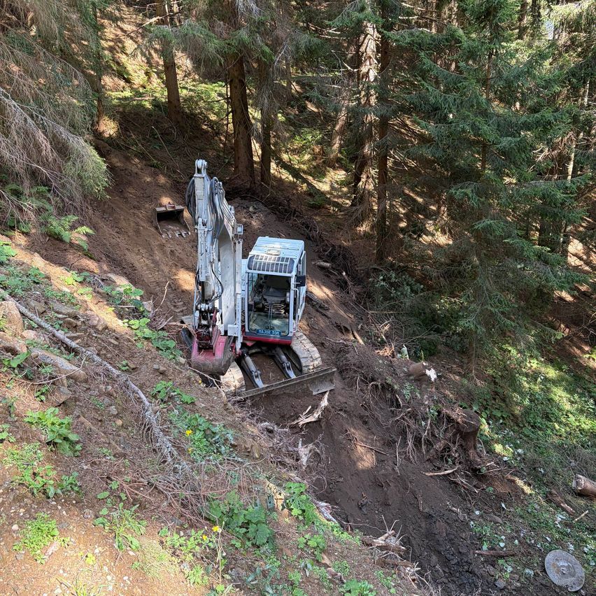 Ein Bagger gräbt ein Loch in einem bewaldeten Gebiet, umgeben von hohen Bäumen und Vegetation. Der Boden ist uneben und mit Erde und kleinen Pflanzen bedeckt.