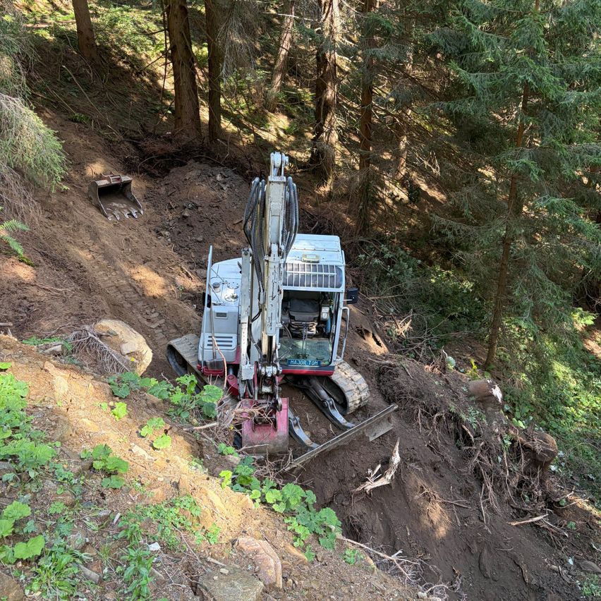 Ein roter und weißer Bagger gräbt einen Hang in einem Wald, umgeben von Bäumen und Pflanzen.