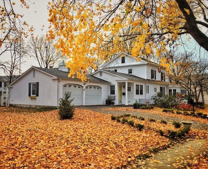 Bild enthält, Autumn, Suburb, Plant