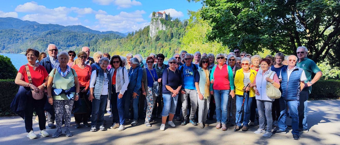 Bild enthält, Pants, People, Person, Vegetation, Handbag, Shoe, Jeans, Tree, Boy, Teen
