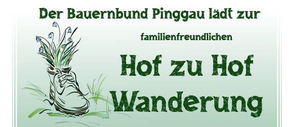 Bild enthält, Advertisement, Poster, Herbal, Herbs, Plant, Person