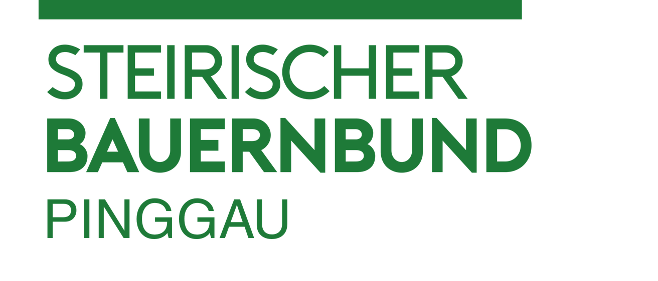 Das Logo zeigt einen stilisierten Drachen auf grünem Hintergrund. Darunter sind die Worte 'Steirischer Bauernbund' in fetter weißer Schrift zu sehen. Darunter steht 'PINGGAU' in kleineren weißen Buchstaben.