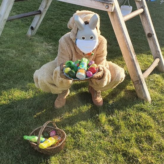 Bild enthält, Grass, Plant, Fun, Person, Sitting, Leisure Activities, Picnic, Picnic Basket