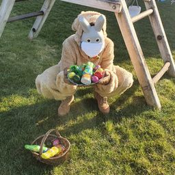 Bild enthält, Grass, Plant, Fun, Person, Sitting, Leisure Activities, Picnic, Picnic Basket