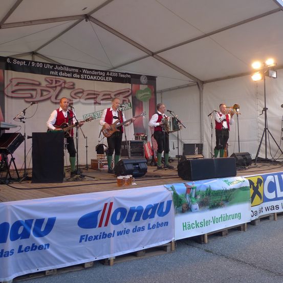 Bild enthält, Stage, Person, Group Performance, Guitar, Musical Instrument, Music, Music Band, Musician, Performer, Speaker