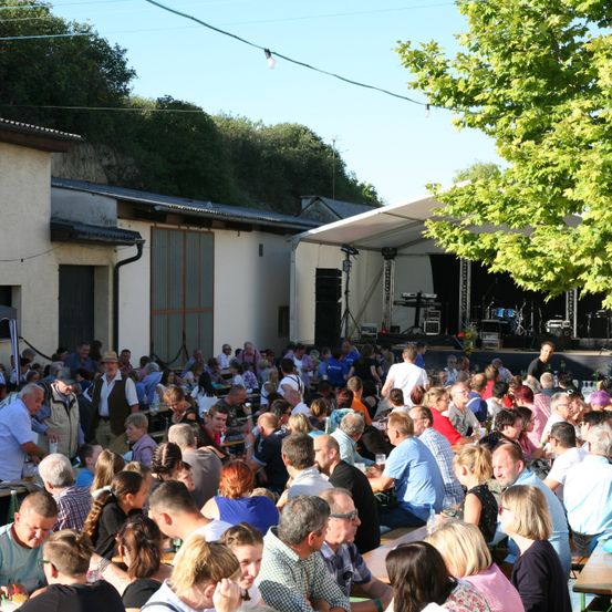 Bild enthält, Crowd, Person, People, Adult, Male, Man, Concert, Audience, Face, Indoors