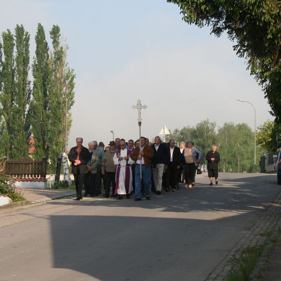 Bild enthält, Cross, License Plate, Car, Person, Road, Tree, Formal Wear, Suit, Tarmac, Wheel