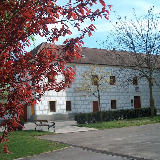 Bild enthält, Tree, Grass, Bench, Furniture, Building, Tree Trunk, Maple, Outdoors, Shelter, Leaf