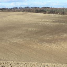 Bild enthält, Soil, Land, Nature, Outdoors, Ground, Road