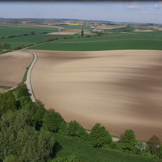 Bild enthält, Outdoors, Nature, Countryside, Land, Scenery, Aerial View, Rural, Farm, Plant