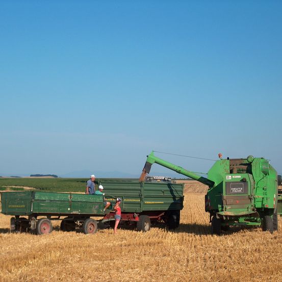 Bild enthält, Countryside, Farm, Harvest, Nature, Outdoors, Rural, Machine, Wheel, Person, Straw