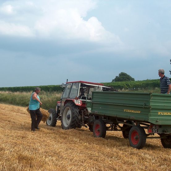 Bild enthält, Countryside, Farm, Harvest, Nature, Outdoors, Rural, Wheel, Person, Straw, Truck