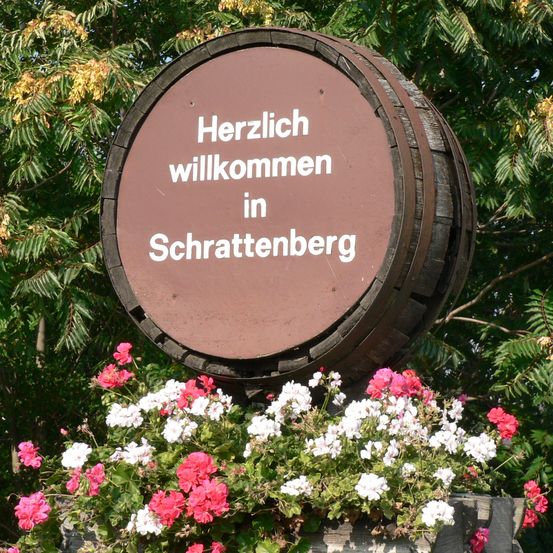 Bild enthält, Flower, Geranium, Plant, Garden, Nature, Outdoors, Vegetation, Barrel