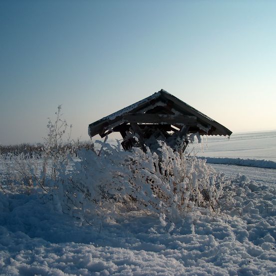 Bild enthält, Building, Outdoors, Shelter, Countryside, Hut, Nature, Rural, Ice, Shack, Weather