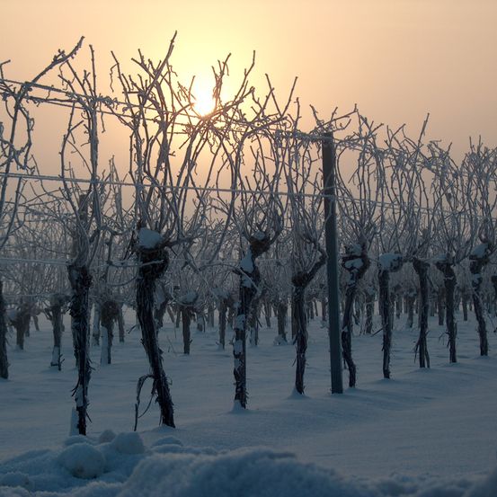 Bild enthält, Nature, Outdoors, Ice, Weather, Snow