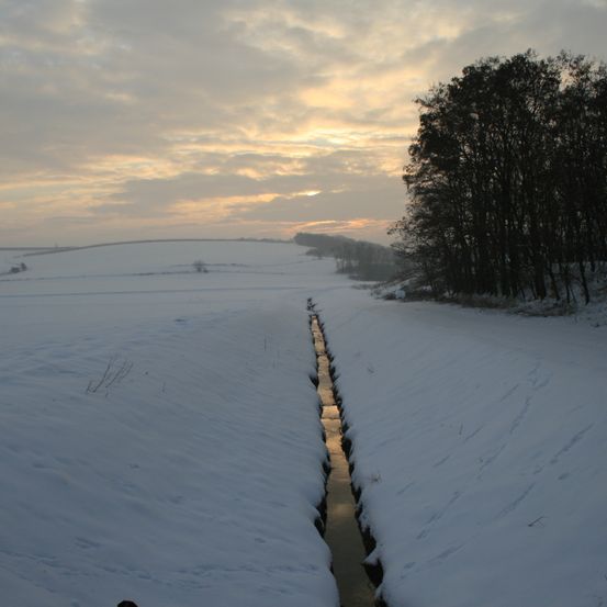 Bild enthält, Ditch, Outdoors, Nature, Scenery, Plant, Tree, Land