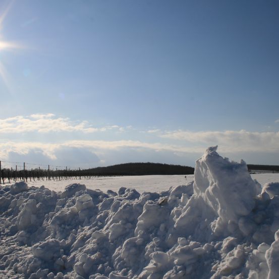 Bild enthält, Ice, Nature, Outdoors, Sky, Scenery, Glacier, Mountain, Sunlight, Winter, Snow