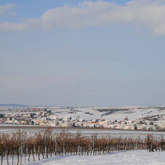 Bild enthält, Land, Nature, Outdoors, Weather, Scenery, Plant, Reed, Tree, Ice, Sky