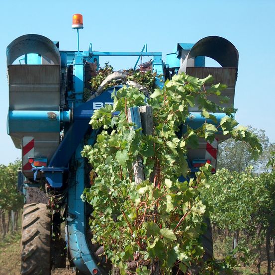 Bild enthält, Nature, Outdoors, Countryside, Rural, Farm, Machine, Wheel, Vineyard